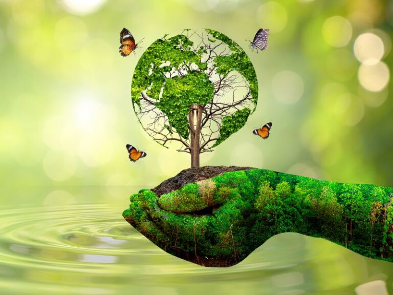Como o licenciamento ambiental contribui para o meio ambiente